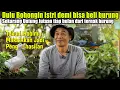 Lagu Pengangguran Tapi Punya Penghasilan Puluhan Juta Perbulan Dari Ternak Burung Kenari dan Murai Batu