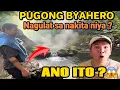 Download Lagu Pugong Byahero, nagulat sa kaniyang nakita ? ANO ITO ? @PugongByahero #pugongbyahero 
