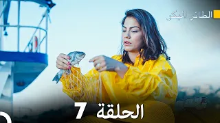 مسلسل الطائر المبكر الحلقة 7 دوبلاج عربي 
