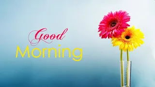 good morning ka video good morning message image good morning video song good morning message