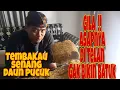 Download Lagu Tembakau Senang asli dari Lombok // Daun Pucuk Super Rasanya Sampai Melayang