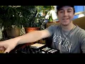 mau5trapLIVE: sunday chill sessions with ATTLAS