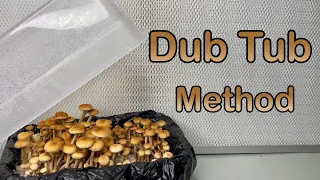 Download How to Grow Mushrooms: Dub Tub Method MP3