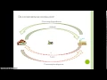 Download Lagu De economische kringloop 1