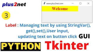 Tkinter Label managing text by StringVar to update using user input by using get set methods