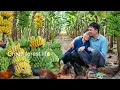The bananas were ripe and so was their love for each other Robert Green forest life