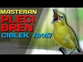 Download Lagu MASTERAN PLECI NEMBAK BREN CIBLEK AK47 // #masteranpleci