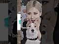 Download Lagu Kumpulan Video Tiktok Anak Rp || Part 2