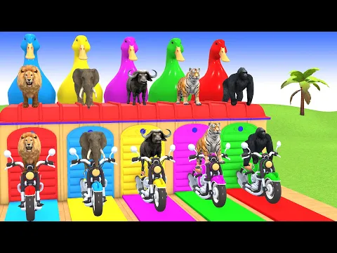 Video Thumbnail: Long Slide Game with Cow Elephant Gorilla Hippopotamus Tiger 3d Animal Game Funny 3d Animals