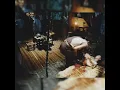 Download Lagu Love in wild.... Mr. Fox and Miss. Rose....