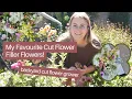 My Favourite FILLER FLOWERS - Cut Flower Grower Florist