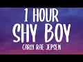 Download Lagu Carly Rae Jepsen - Shy Boy (1 HOUR/Lyrics)