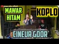 Download Lagu MAWAR HITAM ( TIPE X) || KOPLO || CINEUR GDOR || MANTUL ENAK BANGET || EDISI LATIHAN