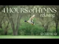 Download Lagu FOUR Beautiful Hours of Hymns! #relaxing #soothing | Chris Allman sings the Hymns!