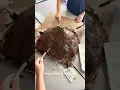 DIY paper mache volcano eruption experiment