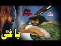 Lagu Baaghi | Pashto Full Movie | Pashto Old Classic Movie | Musafar Films