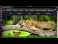 Travel Website Using Flask With Source Code