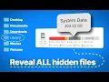 Clear System Data on Mac - Reveal Hidden Files Free Up Space