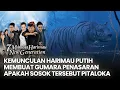 Kemunculan harimau putih membuat Gumara penasaran apakah itu Pitaloka | 7 MANUSIA HARIMAU NEW GEN