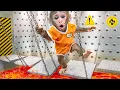 Download Lagu KiKi Monkey survive Hide and Seek to escape Prison Maze challenge to meet Duck | KUDO ANIMAL KIKI