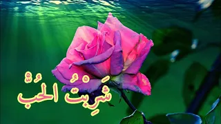                                شربت الحب دندنها