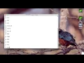Python 2 Basic Operators
