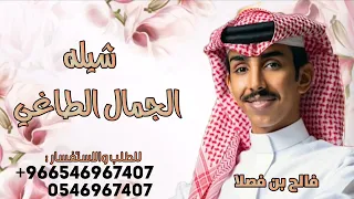 الجمال الطاغي ـ فالح بن فصلا 