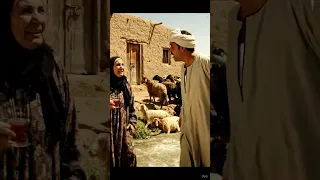 الحاج والغنم اللي وقعوا في الترعة بسبب عين الفلاحة اكسبلور كوميديا مصرية فيديوهات مصرية ضحك 