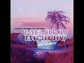 Download Lagu Mejikuhibiniu (Breakbeat)