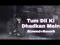 Download Lagu Tum Dil Ki Dhadkan Mein Rehte Ho (Slowed+Reverb) Bollywood Slowed And Reverb lofi songs