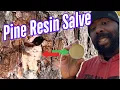 How To Make Pine Resin Salve