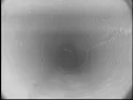 Roots Blistering Oval-ling or Orangeburg Pipe - After