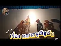 Download Lagu หนังเดะเลาะ ตะลุงศิลป์ep.2 ดอกธนูอัญชัน