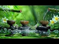 Download Lagu Relaxing Sleep Music + Insomnia - Stress Relief, Relaxation, Deep Sleeping Music