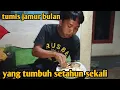 Lagu tumis jamur bulan yang tumbuh setahun sekali 