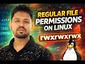 Day - 6 Linux File Permissions Umask Everything You Need to Know