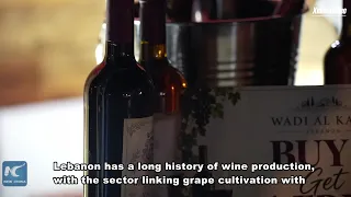 Annual Vinifest fair highlights Lebanon's time-honored winemaking tradition