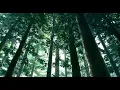 Download Lagu Bruno Mars - Gorilla ( Slowed + Reverb )