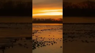 اذكريني كلما حان وقت الغروب 