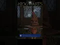 Hogwarts Legacy - Sorting Hat