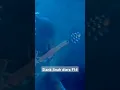 Download Lagu Slank jinah diera F14#musik90an #payburman #shortsyoutube