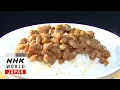 Download Lagu Natto - Japanology Plus