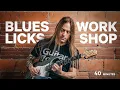 Blues Licks Workshop GuitarZoom com Steve Stine