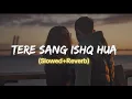 Download Lagu Tere Sang Ishq Hua Lofi Slowed Reverb Song 🥰 ❤️ #XParthLofi #viral