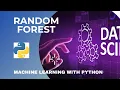 Random Forest algorithm in Python Intro to machine learning for beginners