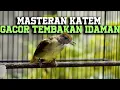 Download Lagu MASTERAN KAPAS TEMBAK TEMBAKAN IDAMAN! KAPAS TEMBAK GACOR KICAU MAX
