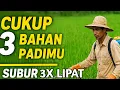 Lagu CUKUP 3 BAHAN! PADIMU LANGSUNG SUBUR 3X LIPAT!