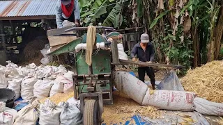 EFFICIENT CORN STRAW SORTING PROCESS FOR ANIMAL FEED! - Agriculture farming
