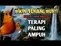 Download Lagu Suara air mengalir siulan anis merah betina manja ampuh obati anis merah stres 