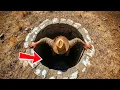 Download Lagu He Inherited a Dry Well in the Middle of Nowhere — But What Lay at the Bottom Was Unthinkable
